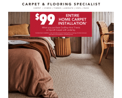 Harvey Norman Catalogue
