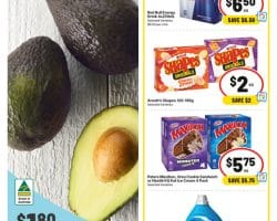 IGA Catalogue