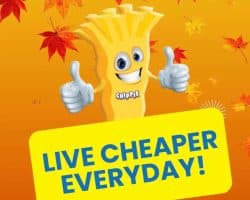 Cheap as Chips Catalogue