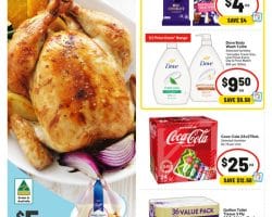 IGA Catalogue